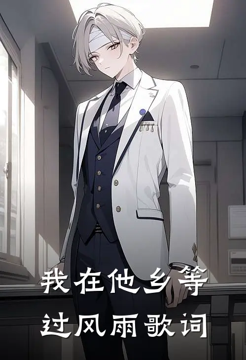 我在他乡等过风雨歌词