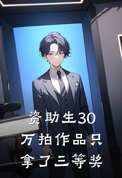 资助生30万拍作品只拿了三等奖