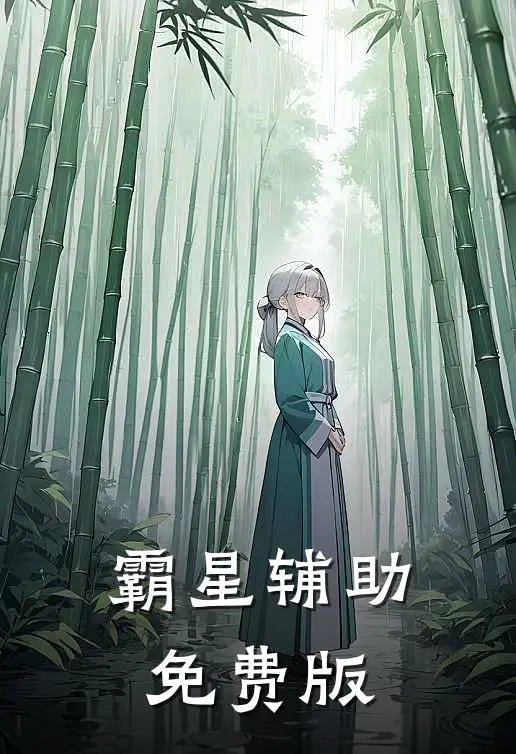 霸星辅助免费版